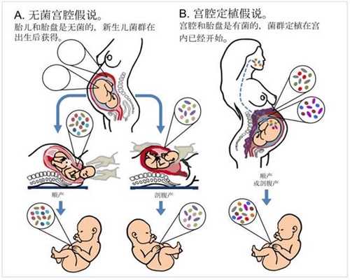 武汉代孕一对一咨询_新生儿15种常见异常现象 妈