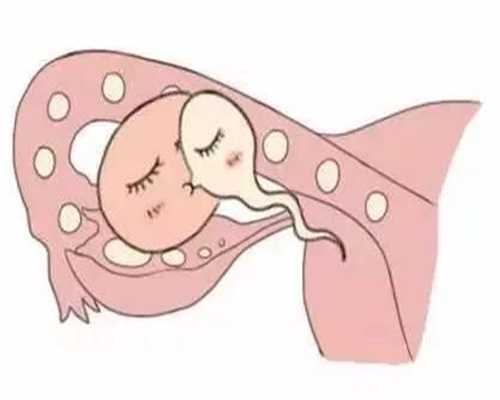 代孕机构有哪些_哺乳期什么时候来月经正常