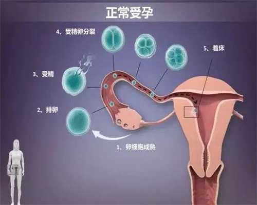 武汉代孕包性别_代孕孩子2020联系电话_代孕是什么意思啊