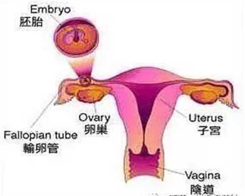 武汉代孕是怎么样的_代孕宝宝服务套餐_代孕小孩泰国