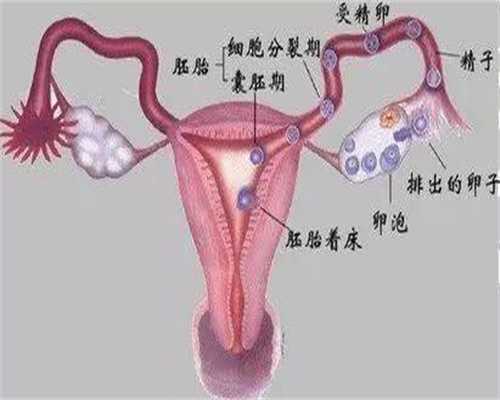 中国知名代孕网-武汉有供卵试管吗_月经一般推迟的原因