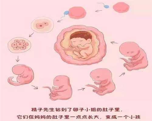 代孕哪家便宜-武汉医院供卵_孕妇饿肚子对胎儿有什么影响？孕妇饿肚子吃什么