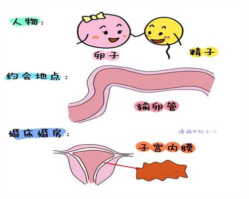武汉专业的合法代孕-正规代孕机构生孩子多少钱_越来越多孕妈胎停育了